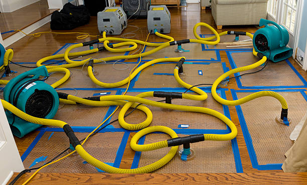Professional Structural Drying And Dehumidification technician working in Vicksburg, MI